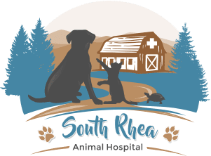 South Rhea Animal Hospital Logo