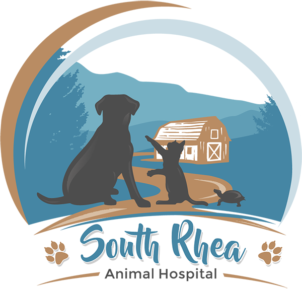 South Rhea Animal Hospital