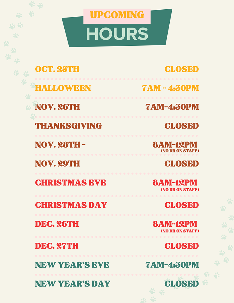Holiday hours flyer listing changes to regular hours for October through January. Highlights include early closures on Halloween, November 26th, and New Year’s Eve; limited hours with no doctor on staff on November 28th, Christmas Eve, and December 26th; and full closures on October 25th, Thanksgiving, November 29th, Christmas Day, December 27th, and New Year’s Day.