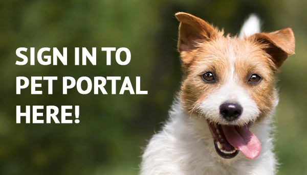 Sign in to Pet Portal here!