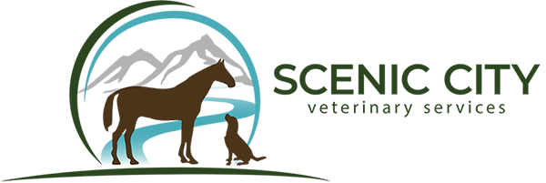 Scenic City Veterinary Services