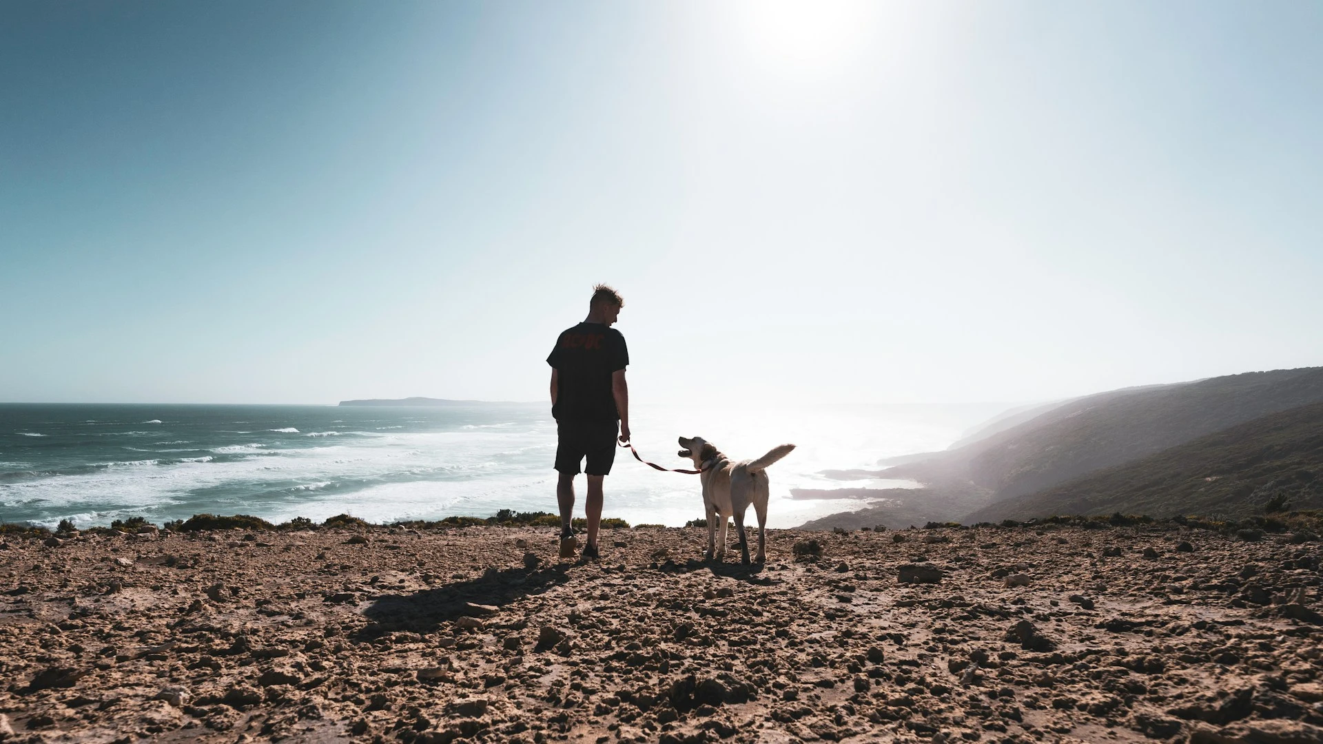 A man and a Labrador stand on a rugged cliffside overlooking a vast ocean, silhouetted against the bright midday sun.